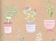 Secare Maj Nature 918036 250m/50cm Secare Maj Nature 918036 250m/50cm