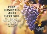 Postkarten: Ich bin der Weinstock, 4 Stück Postkarten: Ich bin der Weinstock, 4 Stück