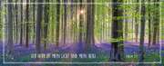 Metallschild - Wald Metallschild - Wald