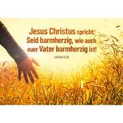 Jahreslosung 2021 - Motiv "Kornfeld" Textkarte Jahreslosung 2021 - Motiv "Kornfeld" Textkarte