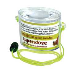 Lupendose oval - neon grün Lupendose oval - neon grün