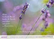 August