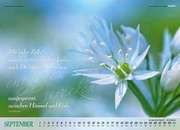 September