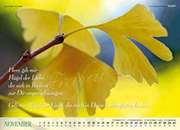 November