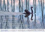 Dezember
