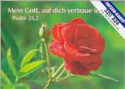 Postkartenserie Grossdruck Rose Postkartenserie Grossdruck Rose