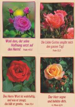Kleinkärtchenserie Rosen, 12 Stück
