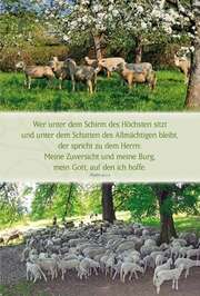 Faltkarte: Wer unter dem Schirm - neutral Faltkarte: Wer unter dem Schirm - neutral