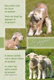 Faltkarte: Sei gesegnet - Geburtstag Faltkarte: Sei gesegnet - Geburtstag