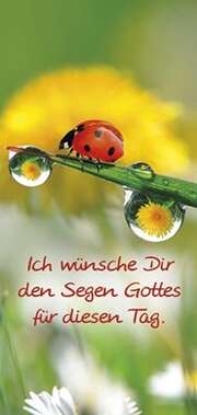 Magnetlesezeichen - "Ich wünsche Dir den Segen Gottes für diesen Tag" Magnetlesezeichen - "Ich wünsche Dir den Segen Gottes für diesen Tag"