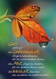 Postkarten: Gott gebe mir die Gelassenheit, 12 Stück Postkarten: Gott gebe mir die Gelassenheit, 12 Stück