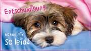 Schokoladengrüße "Entschuldigung" (40g) Schokoladengrüße "Entschuldigung" (40g)